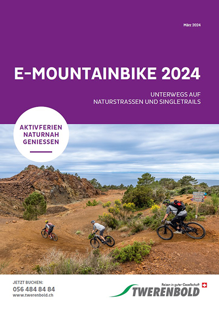 E-Mountainbike